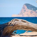 Peter Hubert - @Moschner - Twitter