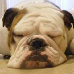 2251051351's profile picture. yo soy alta medio morena manos grades matemati no mucho