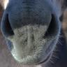 eeekster's profile picture. There are 10 kinds of people in this world. Those who read binary numbers and those who don't...

#introvert