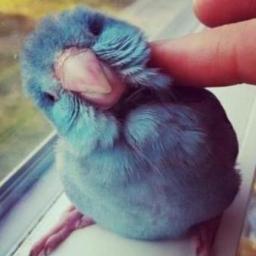 Le doy Retweet a lo que me gusta ... Te sigo si tienes buen contenido