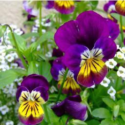 ItaBmp's profile picture. Madre de tres hijos hermosos y un nieto maravilloso.