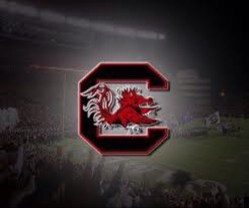 hyderl's profile picture. 