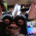 telco gremlin (@telco_gremlin) Twitter profile photo