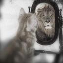 ESL Saint John Tutor - @ESL_Saint_John - Twitter