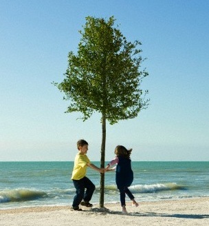 JoyHeartDance's profile picture. Joy♥Dance Movement begins 1/1/2013 Celebrating the Birth of a New Humanity! Heaven on Earth Exists!