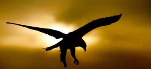 pasguevara's profile picture. Agroturísmo amante de la música sembrando el presente