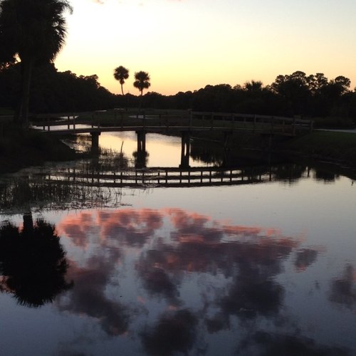 cwdlaxer's profile picture. 