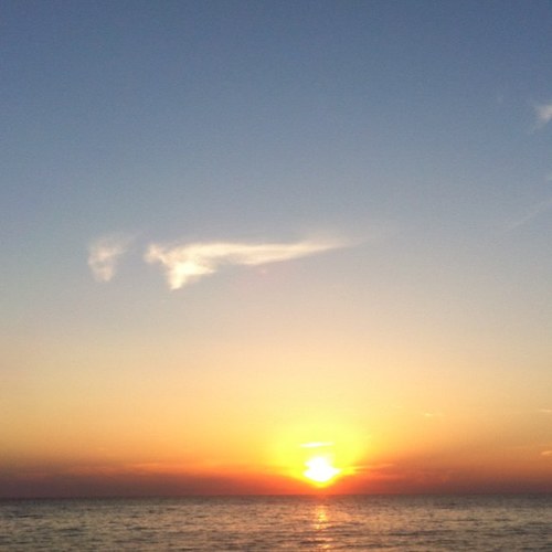 misty_31's profile picture. 