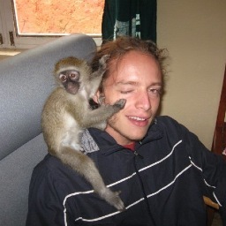 TeoKilasi's profile picture. 