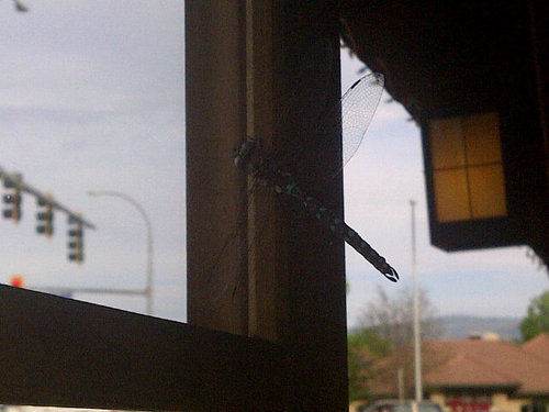 kristy9774's profile picture. I'm selfish, impatient. I make mistakes, I am out of control and hard to handle. But if you can't handle me at my worst, then you don't deserve me at my best.