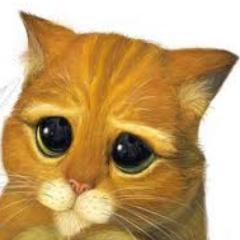 Hi I'm Kitty My owner is @Floris_WinxClub / @Princess_Floris.Love you all.Happy Halloween.