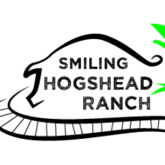 SmilingHogshead Profile Picture