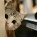 Gloria Yang - @Gloria_YX - Twitter