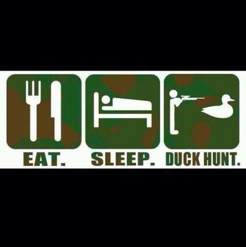 Whackin and Stackin waterfowl