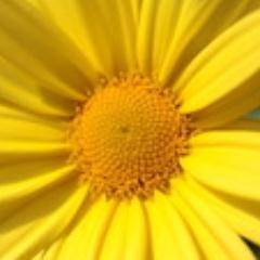 山口市で英語教室をしています。思ったことをツイートしていきます。