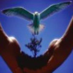 2012Salvation's profile picture. A new book on how we can prepare for the global event in 2012|
” WE MUST BECOME THE CHANGE WE WANT TO SEE IN THE WORLD “