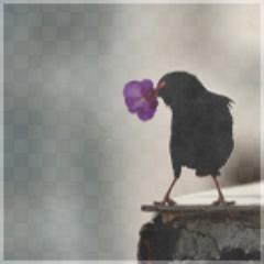 =$أنـا أنسانـه رأئعه  , 
 بـ ثانيْ ثآنوي ممم احب كل شي حلو \ وأغلب اللي تقرونه هنا من كتابتي  أو شي عجبنُي اومن فيضُ مشاعرْي,احب الرقـي  
و كل ششي جميّل 
0=