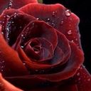 حنان الرياض (@000_hanan) Twitter