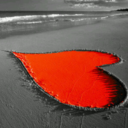 ابو رهف الوايلي (@0593695862) Twitter