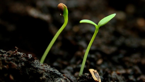 StartupHelp je pomocník pro všechny, kteří chtějí začít podnikat, ale neví, jak na to nebo hledají to správné popostrčení.