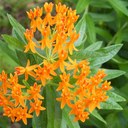 Jan Pierson - @PiersonJan - Twitter