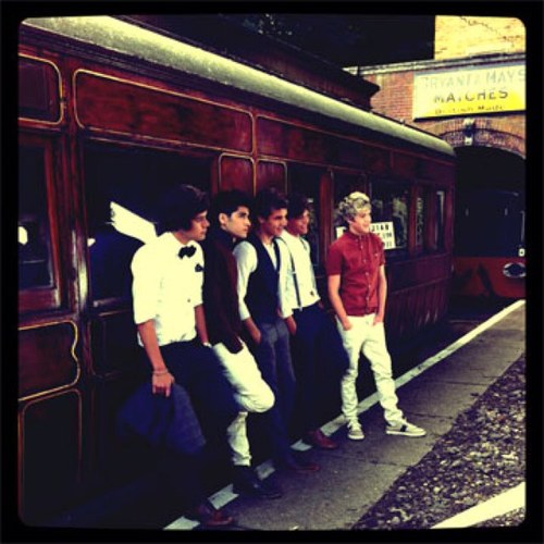 1DShakeMySalt's profile picture. One Direction, that is all.
