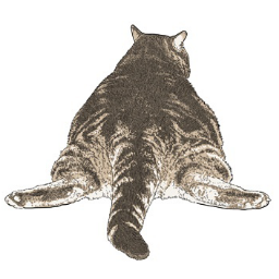 zen_shell's profile picture. 