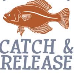 zcars2011's profile picture. 