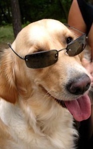 luzzinull's profile picture. 서울/모닝커피/TECH/웃음/롯데 자이언츠/초밥/컴퓨터/IT/대마왕/야구/맛집