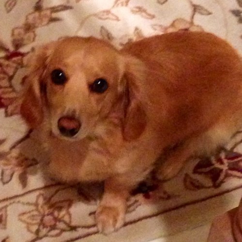 JanMiddle23's profile picture. 