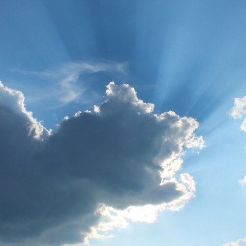 ludovicgarraud's profile picture. 