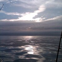 Marc Hernandez (@mhern99) 's Twitter Profile