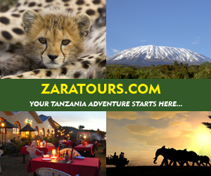 Zara Tanzania Adventures is a local outfitter based in Moshi, Tanzania. Come trek Mt. Kilimanjaro with us, or experience a once-in-a-lifetime African safari!