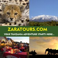 Zara Tanzania Adventures(@ZaraTours) 's Twitter Profile Photo