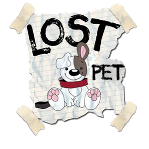 Twitter para ajudar a encontrar animais perdidos e seus donos, siga-nos, retweet e indique aos amigos, vamos ajudar nossos bichinhos!!! http://t.co/WvlJLmaxex
