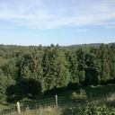 joe scherer - @scherer_joe - Twitter