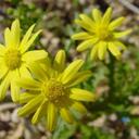 ruth calderon - @ruthca - Twitter