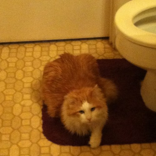 TruckinSucks65's profile picture. Not Far From Puking