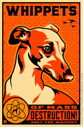 SarahWhippet's profile picture. WHATEVER