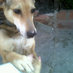 La Gallega (@lilianafernan31) Twitter profile photo La Gallega (@lilianafernan31) Twitter profile photo