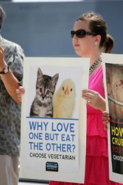 Mom..Vegetarian..Diabetic..Animal Rights Activist..Mental Health Awareness Supporter..LGTBQ Advocate..