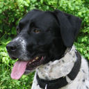 Casey Joe - @mickeyzee43 - Twitter