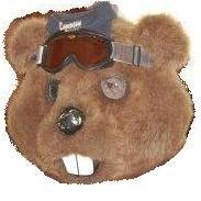 Campgaw's profile picture. Campgaw Ski Area is the 3rd largest ski area in  New Jersey. Campgaw is the closest ski are to New York City, it is only 40 minutes away. Call us @ 201-327-7800