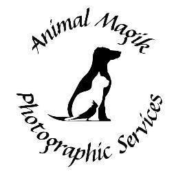 Ellie and Joanne share the same passion for pets and photography. We will photograph your pet in a studio setting, at home or their favourite place to play.