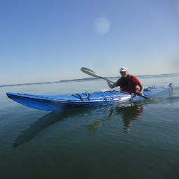 haugueldk's profile picture. 