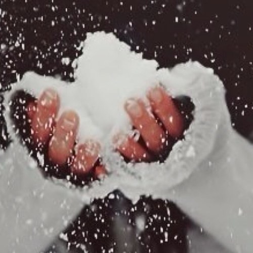 صاحب الإرادة لا يعرف المستحيل