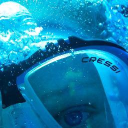 ML_Anderson's profile picture. Freelance journalist and multi-media professional, who loves to be under the water scuba diving.