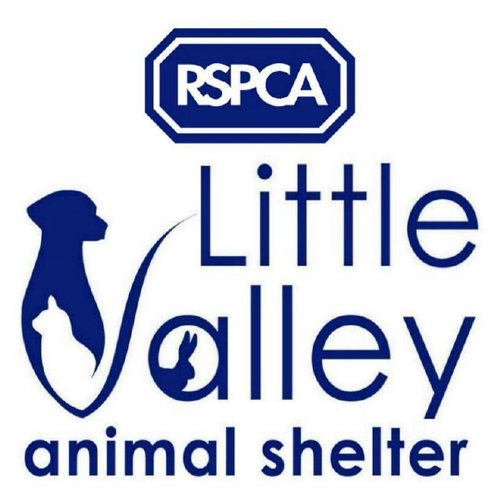 RSPCA Little Valley Animal Shelter, Black Hat Lane, Bakers Hill, Exeter, Devon EX2 9TA. Tel: 01392 439898. Open daily (closed Wednesdays) from 11am to 4pm.