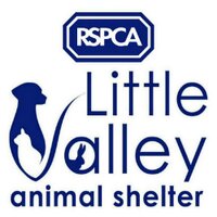 RSPCA Little Valley (@rspcaexeter) 's Twitter Profile