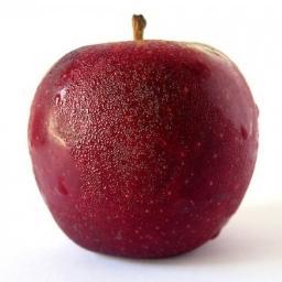 thedoctorsplace's profile picture. Dr. Nanette Cook is a board certified physician.  She understands the complexities of weight loss from a professional perspective through preventive medicine.